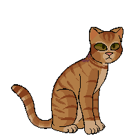 Aster Pelt